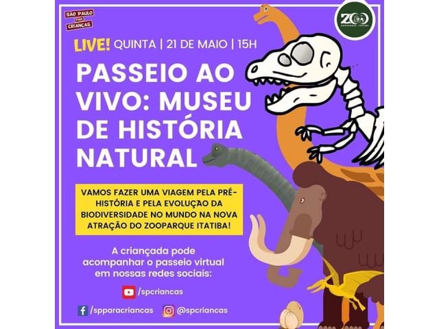 Passeio ao Museu de Histria Natural!!! 